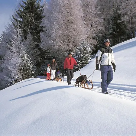 Chalet In Hopfgarten Near Ski Lift Apartment Hopfgarten im Brixental